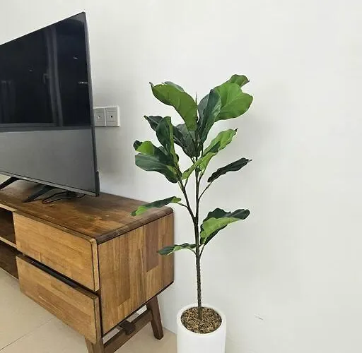Apartment The Infinity Towers In Bgc - Spectacular 2br Near Hight Street